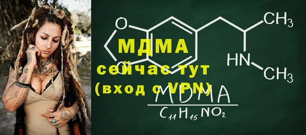 гашик Ельня