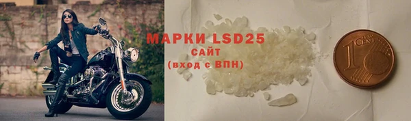 гидра Дмитров