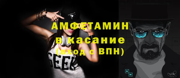 гашик Ельня