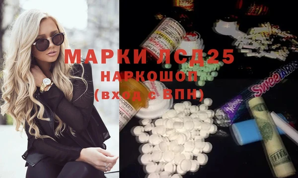 гашик Ельня