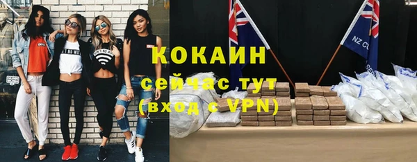 гидра Дмитров
