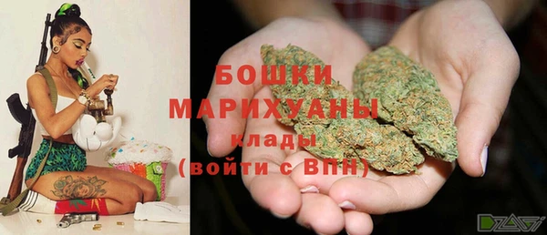 гашик Ельня